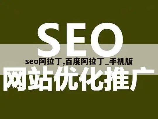 seo阿拉丁,百度阿拉丁_手机版