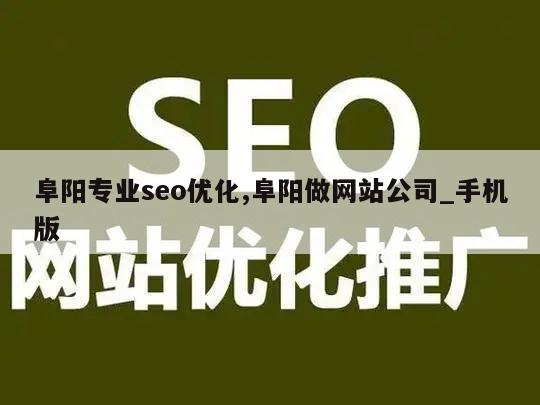 阜阳专业seo优化,阜阳做网站公司_手机版